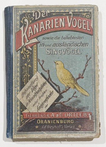 Kanarienvogel ornithologie - ornithologie, /