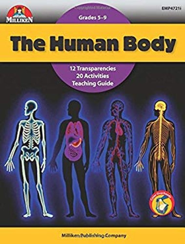 Human body edward ortleb - body, p